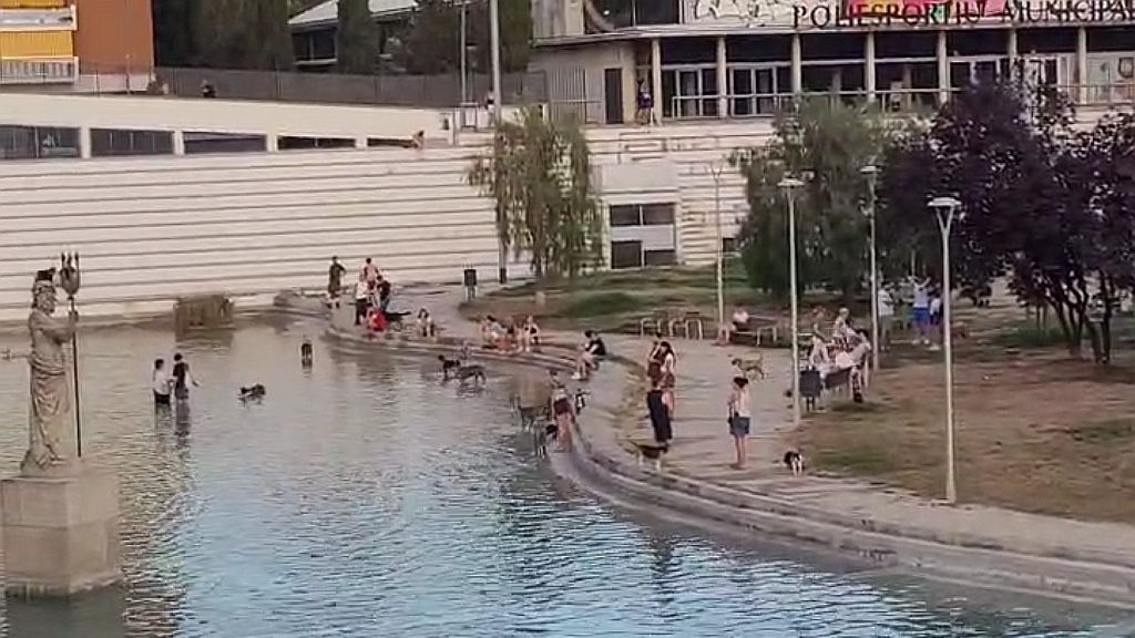 Bany de persones i gossos al llac, pràctica diària, incívica i amb risc per a la salut